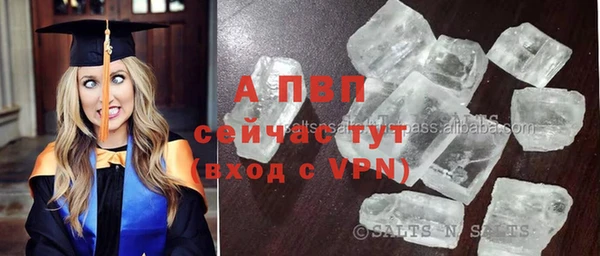 индика Осташков